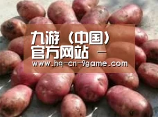 产品展示标题5