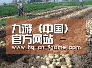 种植基地八
