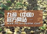 种植基地八(图1)