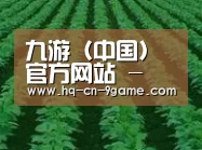 种植基地六
