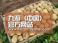 产品展示标题3